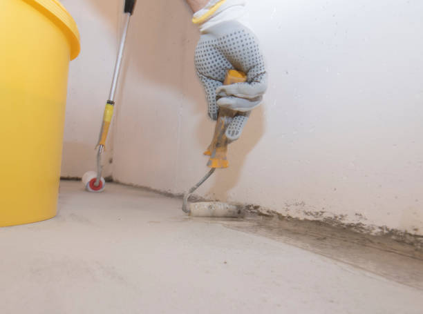 Best Pest Exclusion Services  in Sisco Heights, WA